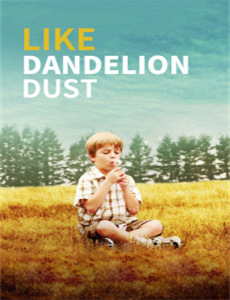 萌新杀手太可爱